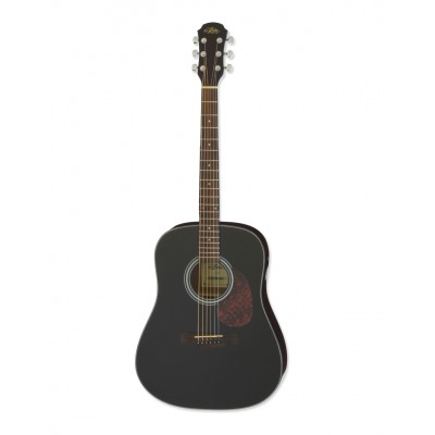 Aria Acoustic Guitar Black ADW-01 BK