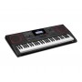 Casio Keyboard Full Size incl. adapter CT-X5000